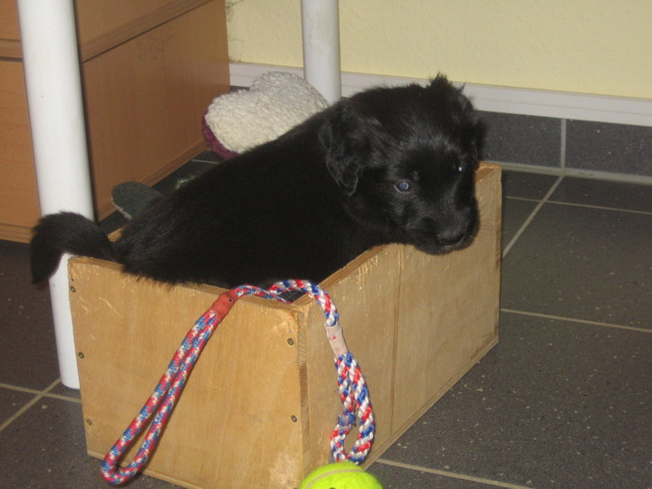 6.Woche0